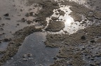 Mineral buildup