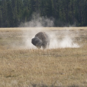 U.S. National Parks