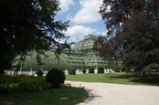 Palm Garden at Schönbrunn