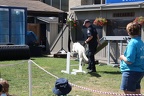 Police dog agility training